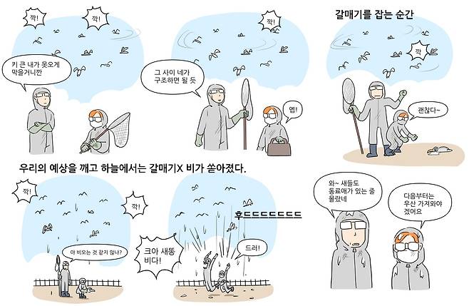 베토리(정철 수의사 제공) ⓒ 뉴스1