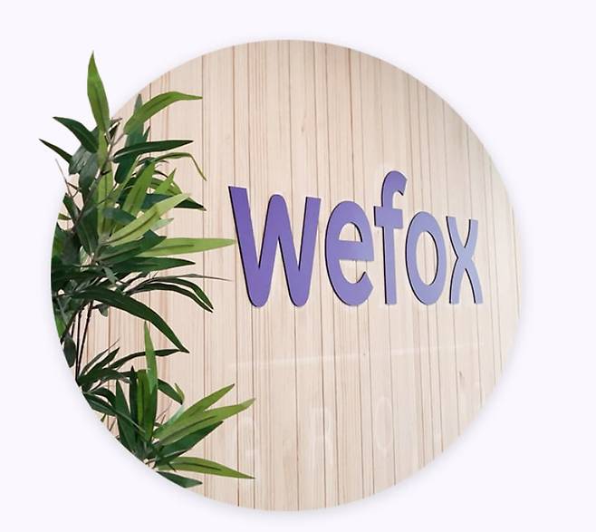 독일 위폭스(wefox) 그룹의 보험사 위폭스AG 로고. /위폭스