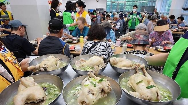 복날엔 삼계탕이지/사진=연합뉴스