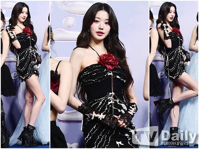 티브이데일리 포토