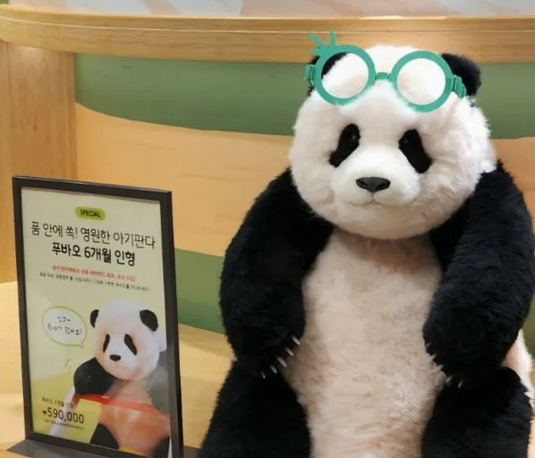 '6개월 푸바오 인형'의 가격은 59만원이다. 무게는 약 3.3㎏이며 공장식 대량 생산이 아닌 수작업으로 만들어졌다. 업체는 푸바오의 두상과 뿔털 등 생김새는 물론 누룽지 색의 털 색깔까지 그대로 구현했다고 설명하고 있다. 인형 털은 양모를 이용했으며 털 관리도구도 제품에 함께 포함돼 있다. [사진출처=온라인 커뮤니티]