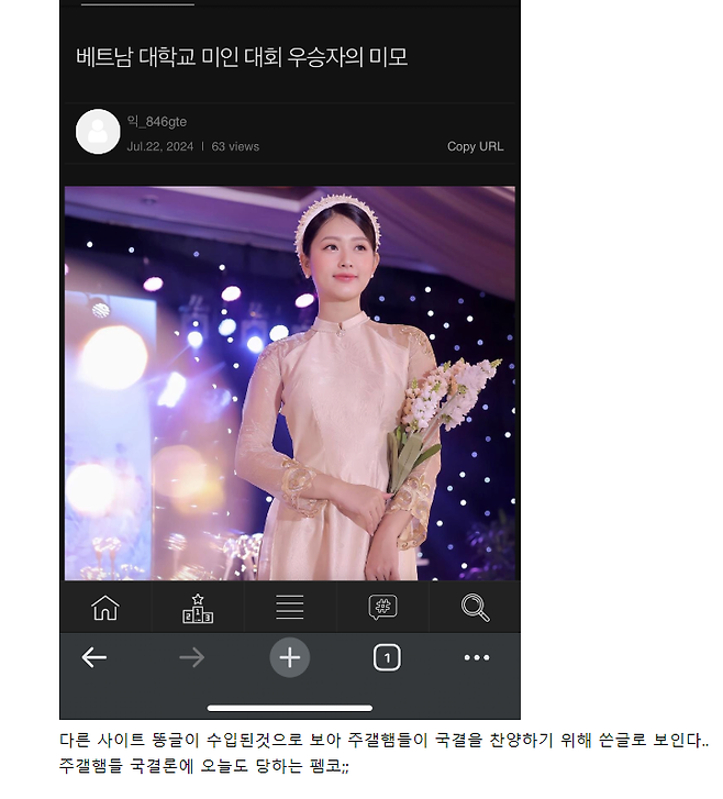 이미지_2024-07-22_173446423.png 방금 올라왔던 베트남 미인 대회 저격의 저격