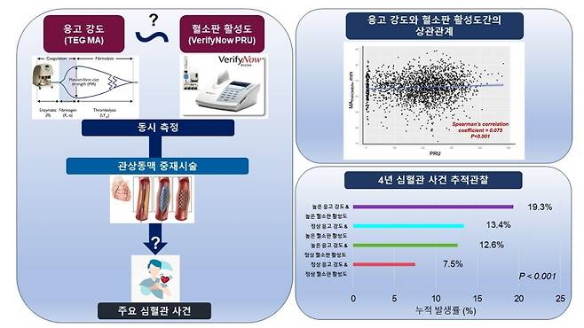 스텐트 시술 연구 개략도./사진=중앙대광명병원