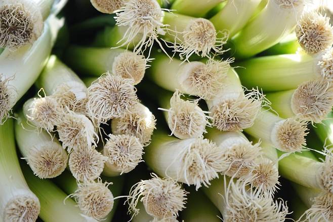 매일 먹는 ‘대파’, 이런 효능이? (사진: 픽사베이)