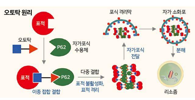 그래픽=신동준기자