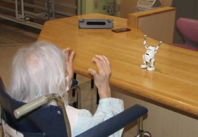 리빙로봇이 반려로봇 실증 실험을 하고 있다. / 사진=리빙로봇