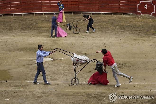 콜롬비아 투우 연습 [초아치 AP=연합뉴스. 재판매 및 DB 금지]