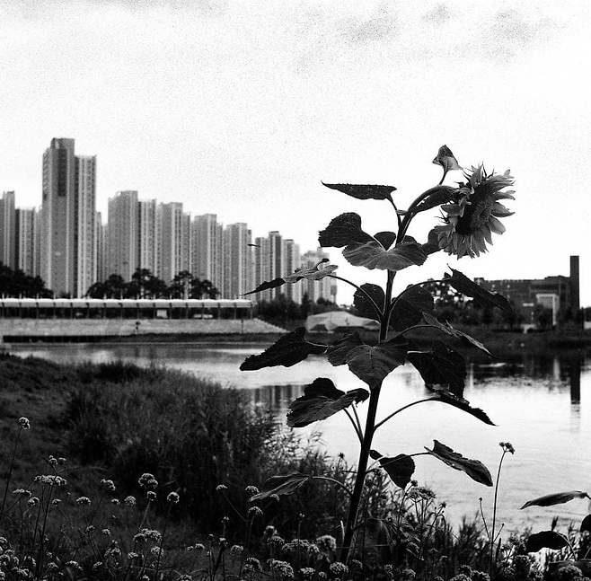 7ded8076b58476ac7eb8f68b12d21a1dd5787736316b5e