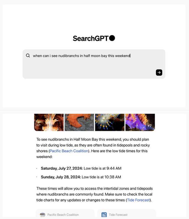 오픈AI가 이날 인공지능(AI) 기반 검색 엔진 '서치GPT'를 공개하면서 선보인 시연 영상 일부 장면. 이용자가 "이번 주말에 하프문베이에서 언제 갯민숭달팽이를 볼 수 있을까?"라고 검색창에 입력(위 사진)하자, AI가 갯민숭달팽이 사진과 함께 "썰물 때 방문해야 한다"며 썰물 시간대를 안내했다. 영상 캡처