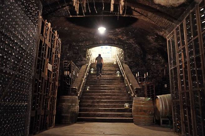 빌라 스파리나 와이너리의 지하 와인 셀러