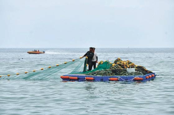 속초해수욕장에서 지난 3일 해파리와 상어 방지망 설치 작업이 한창이다. 동해안에서는 해마다 발생하는 해파리에 이어 올해는 죽은 상어까지 잇따라 발견되면서 지자체와 해경이 신경을 곤두세우고 있다. 사진 연합뉴스