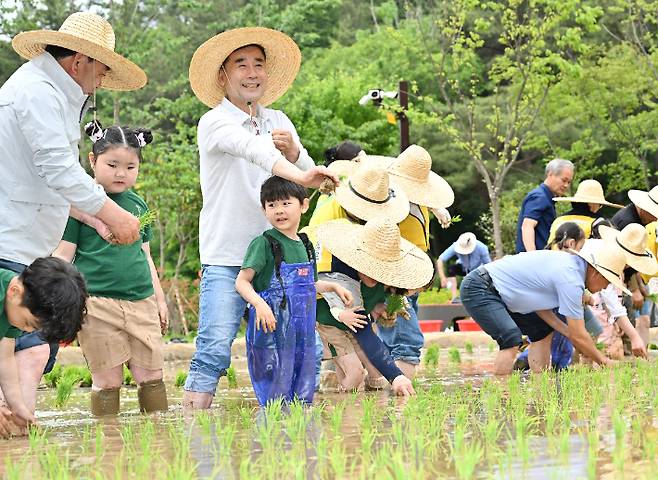 김영길 중구청장이 입화산 유아숲공원 개장식에서 모내기 시연을 하고 있다. 중구청 제공