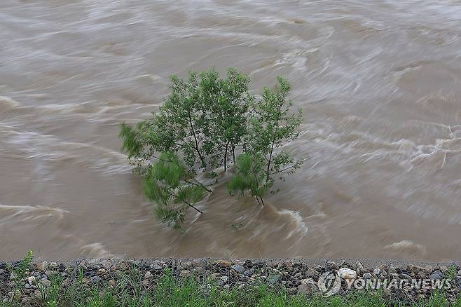 수위 올라가는 임진강 (연천=연합뉴스) 임병식 기자