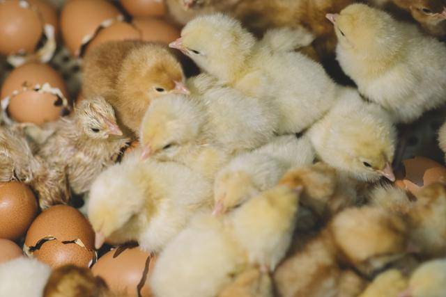 ⓒ게티이미지뱅크