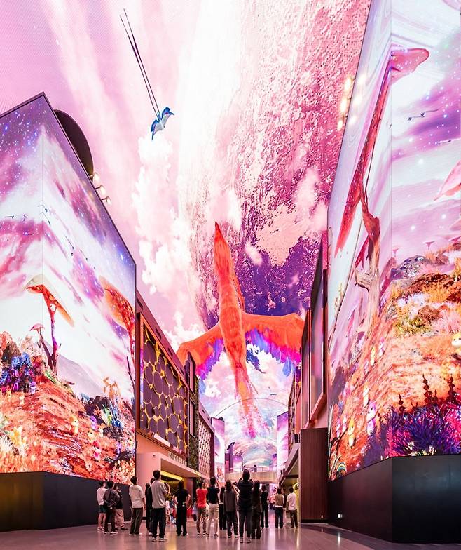 리뉴얼 인스파이어 오로라 콘텐츠