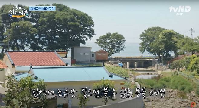 유튜브 〈디글 :Diggle〉