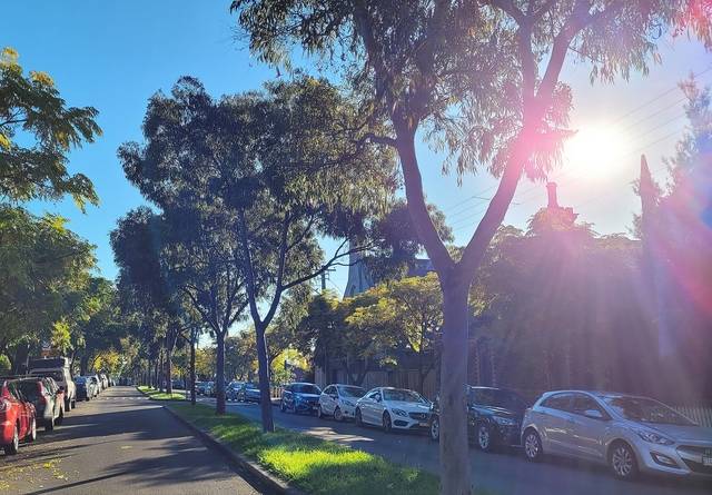 나무 그늘이 적은 엘름 스트리트에 중앙 화단을 설치해 나무를 식재하는 사업이 추진됐다.