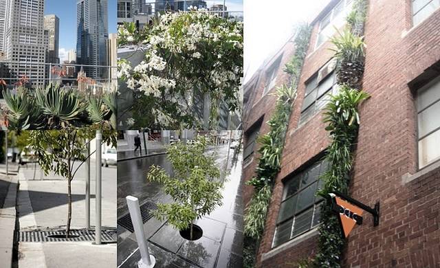 멜버른시가 추진한 다양한 도시 녹화 사업. 멜버른시 제공