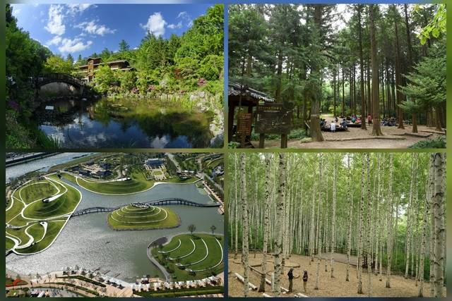 (윗줄 왼쪽부터 시계방향으로) 국립덕유산자연휴양림, 장성치유의숲, 인제 자작나무숲, 순천만국가정원. 산림청