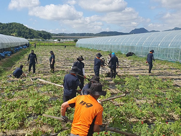 충북소방본부 직원들이 2일 집중호우로 피해를 입은 영동군 심천면 일원에서 수해복구 봉사활동을 하고 있다. [사진=충북소방본부]