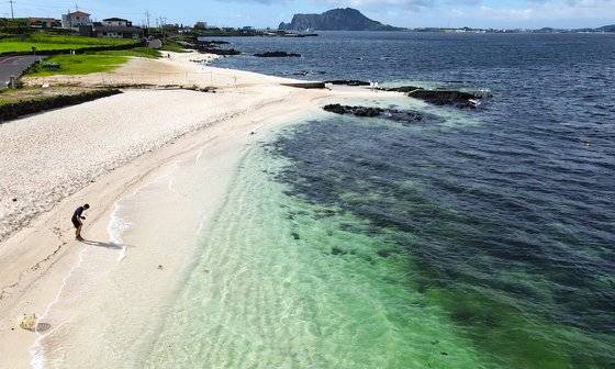 한낮의 우도는 관광객으로 가득하지만, 한낮만 피하면 우도는 조용해진다. 이른 아침 홍조단괴 해변에서.