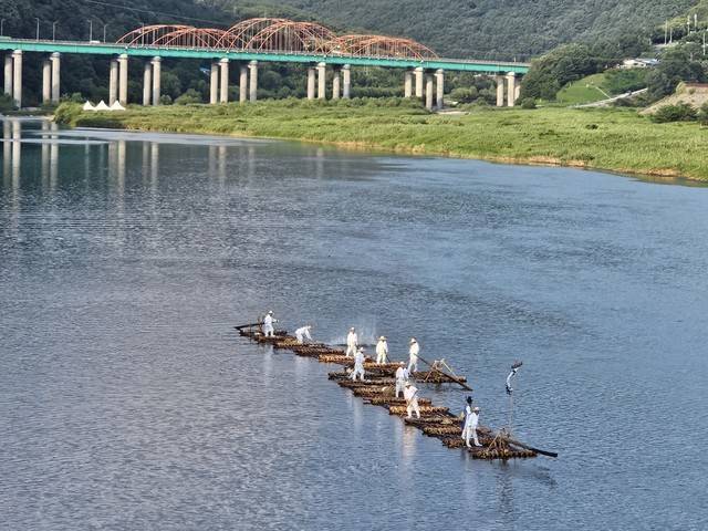 영월군의 올해 제26회 동강뗏목축제가 2일 개막된 가운데 청정 동강에서 전통 방식으로 제작된 뗏목 시연이 펼쳐지고 있다.