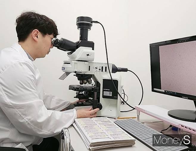 CAF 치료법이 면역항암제에 이어 기존치료법과 방사선 치료 효과도 증진시킬 수 있어 향후 공동개발 등의 계약이 이어질 전망이다. /사진=김선 기자