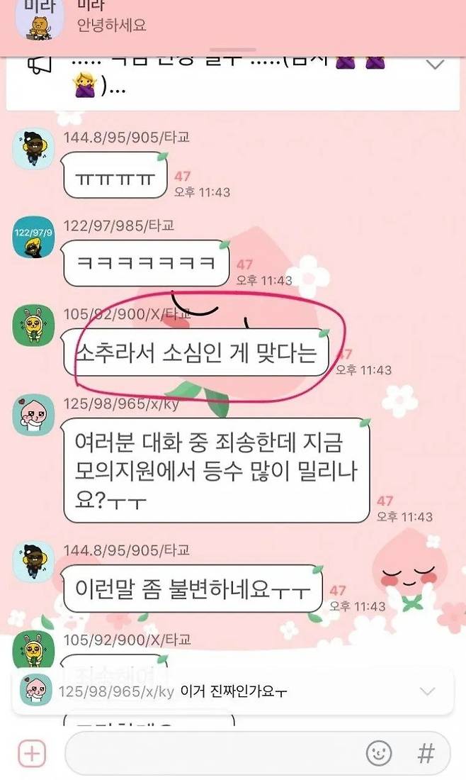 이화여대 로스쿨 지원자 톡방의 실상