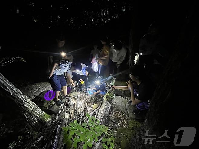 국립칠곡숲체원 ‘칠곡 칠색(色)-까만 숲, 까만 밤, 까만 친구들’ 운영 모습 (산림청 한국산림복지진흥원 제공)/뉴스1