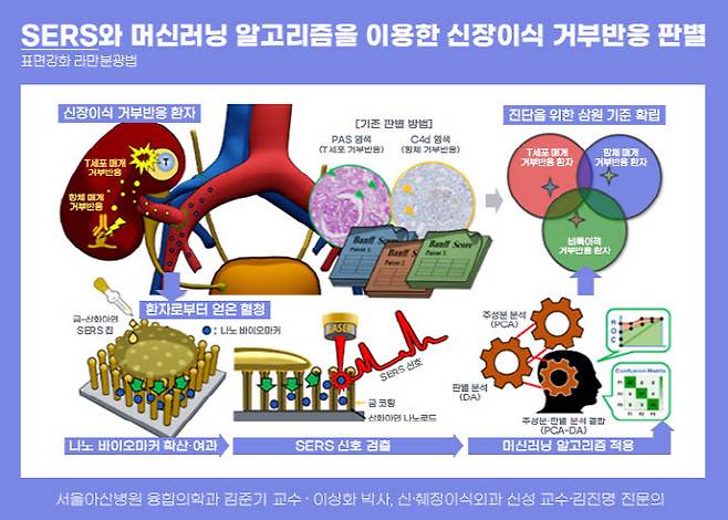 SERS와 머신러닝 알고리즘을 이용한 신장이식 거부반응 판별.