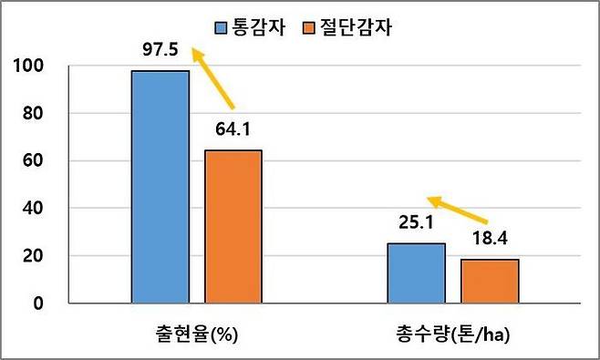 감자 절단 여부에 따른 출현율 및 총수량. ⓒ농촌진흥청