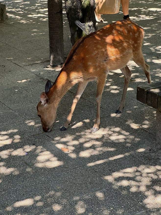 0ce48171c78a6bf223eff4e6449c706b8e2ed0d49dc375acf35670c0a58347acf6afcb8d17db70665861b841929c27da0e8b31594a