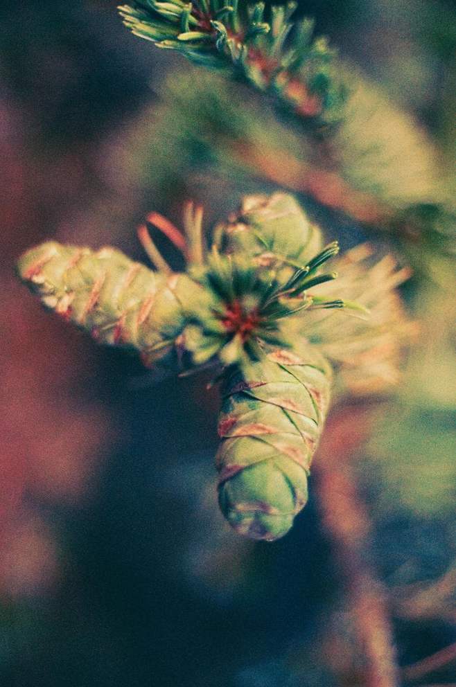 7ded8076b58a76ac7eb8f68b12d21a1dc9e05b1c5a834d3d