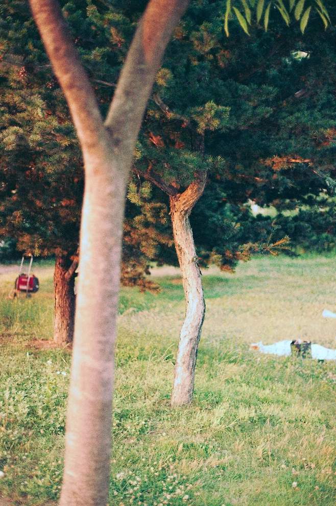 7ded8076b58476ac7eb8f68b12d21a1dd07f7336306a5ee2