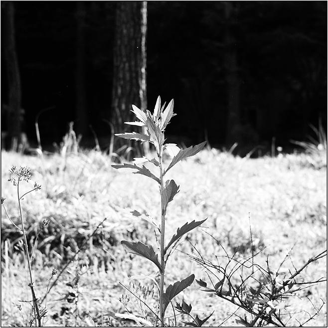 26ec8076a58068e87eb1d19528d5270338bfd65ffb0af867