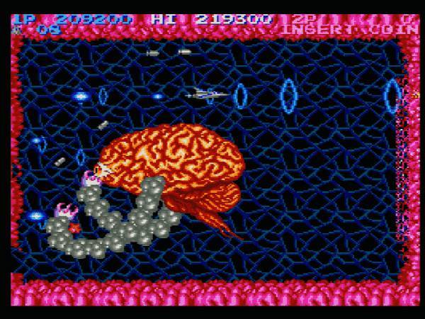 출처: 사에바료님 블로그