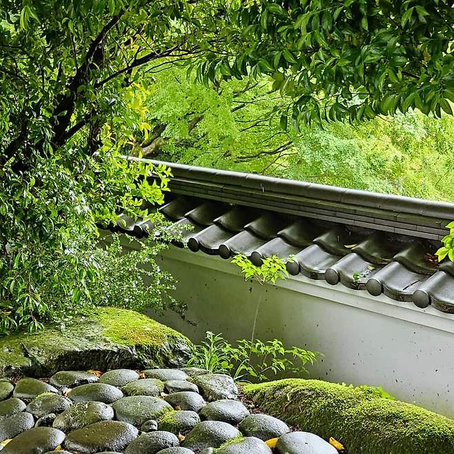 28b9d932da836ff43ce686e34f83716a11378d10c7d773b2fc5aabca10eed7ee51e514