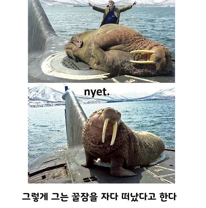 IMG_4485.jpeg 잠수함 길막 레전드 ㄷㄷ
