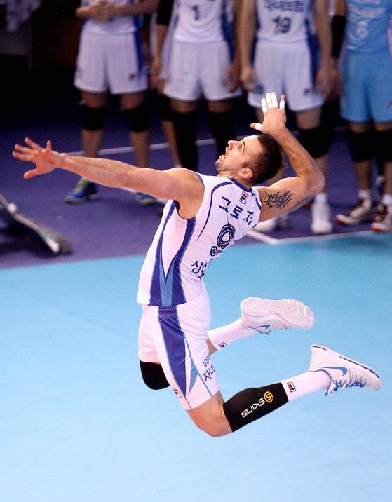 삼성화재에서 뛰었던 독일 출신. 괴오르기 그로저.사진 한국배구연맹