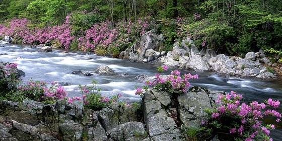 지리산 달궁계곡