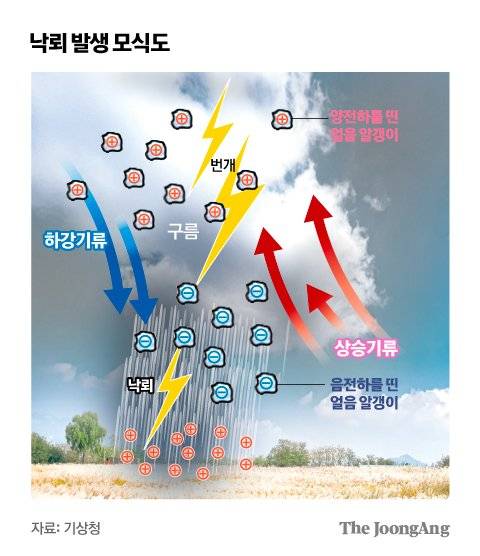 김주원 기자