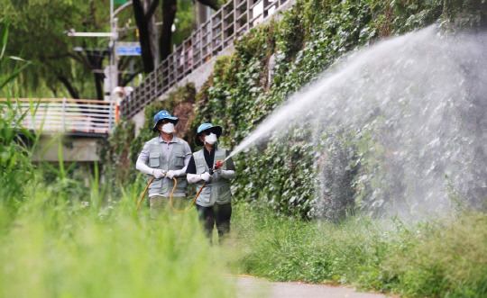 7월 31일 경기도 수원시 팔달구 수원천에서 팔달구보건소 관계자들이 말라리아 등 모기 매개 질병 예방을 위해 방역을 하는 모습. <사진: 연합뉴스>