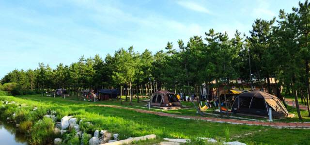▲ 해변 야영 천국 동해안 최북단 강원 고성군의 해변·온천·농산촌 등 4곳에 100면 이상의 캠핑장이 추가 조성돼 급증하는 캠핑카 관광수요에 대비하는 등 캠핑레저도시로의 인프라 완성이 추진된다. 자작도캠핑장. 전인수