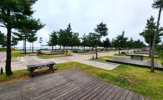 ▲ 해변 야영 천국 동해안 최북단 강원 고성군의 해변·온천·농산촌 등 4곳에 100면 이상의 캠핑장이 추가 조성돼 급증하는 캠핑카 관광수요에 대비하는 등 캠핑레저도시로의 인프라 완성이 추진된다. 봉수대오토캠핑장. 전인수