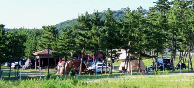 ▲ 해변 야영 천국 동해안 최북단 강원 고성군의 해변·온천·농산촌 등 4곳에 100면 이상의 캠핑장이 추가 조성돼 급증하는 캠핑카 관광수요에 대비하는 등 캠핑레저도시로의 인프라 완성이 추진된다. 백도오토캠핑장. 전인수