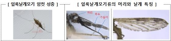 사진=질병관리청 제공