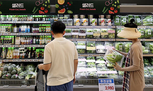 서울시내 한 마트를 찾은 시민이 채소류를 구매하고 있다. 뉴스1