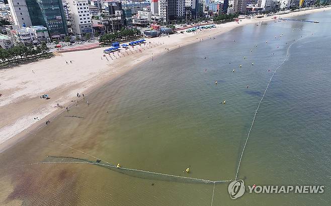 상어 방지 그물망 드리운 해수욕장 (포항=연합뉴스) 윤관식 기자 = 17일 경북 포항시 영일대해수욕장에 상어 방지 그물망이 설치돼 있다. 2024.7.17 psik@yna.co.kr