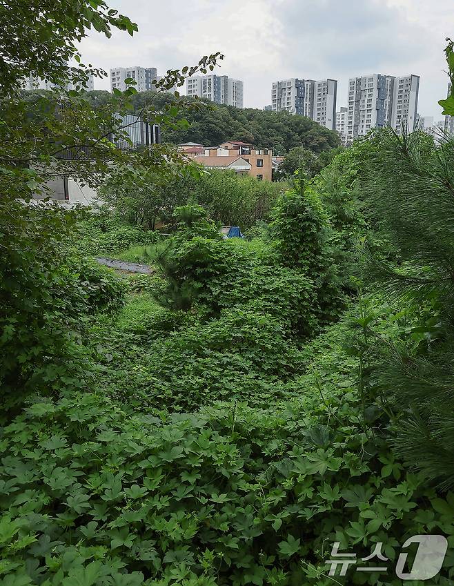 8일 그린벨트 해제지로 유력 거론되는 서울 서초구 내곡동 일대 개발제한구역에 걸린 그린벨트 해제 촉구 현수막. 2024.8.8/뉴스1 ⓒ News1 김진환 기자