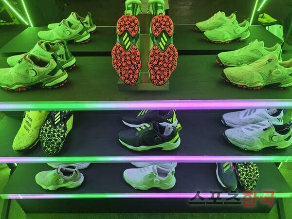 코드케이오스25. ⓒ조민욱 기자